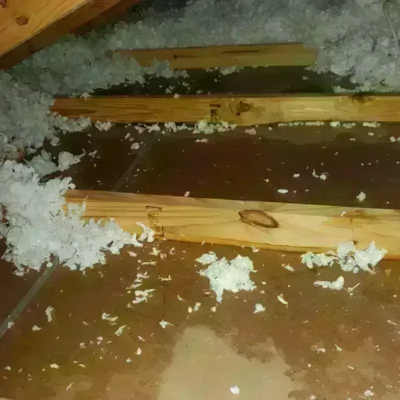 Attic Water Damage in Shelton, CT